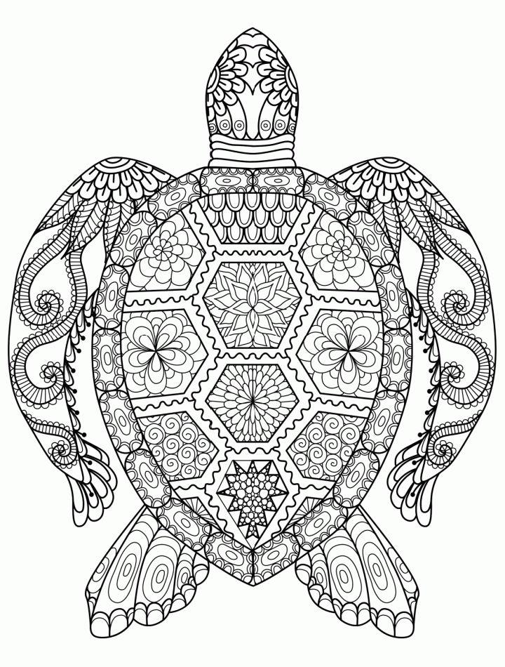 Turtle Coloring Pages for Adults