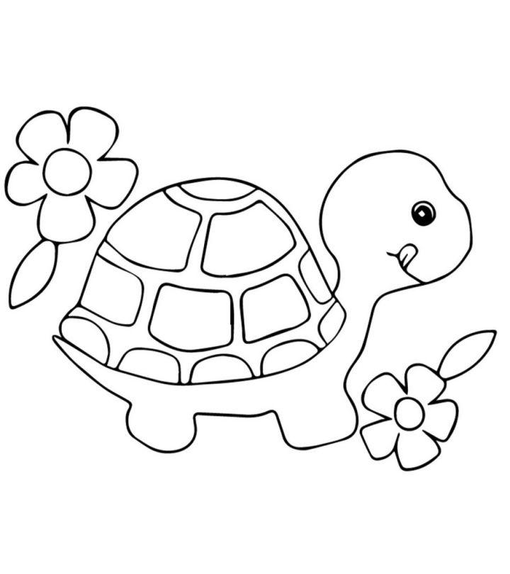 Turtle Coloring Pages for Little Ones