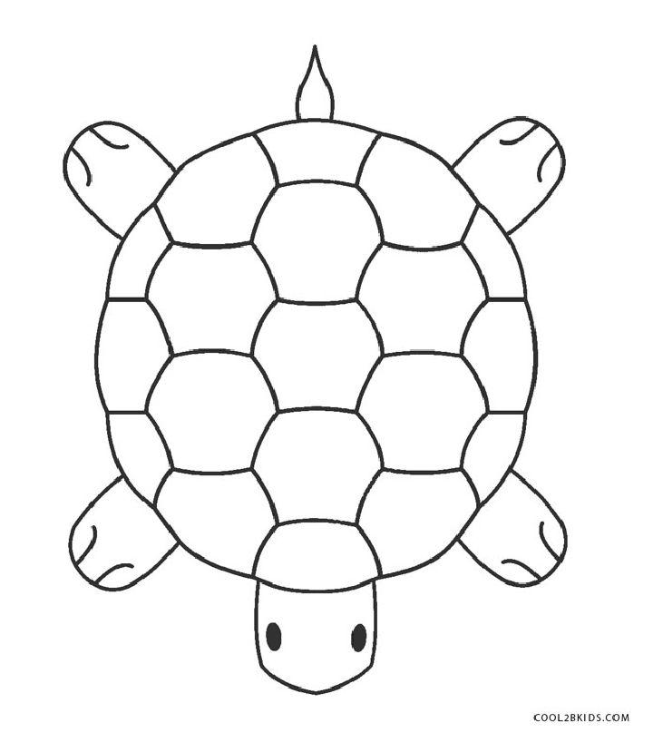Turtle Coloring Pages for Preschoolers
