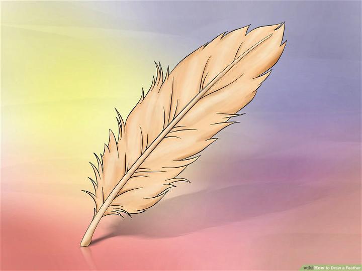 Unique Feather Drawing