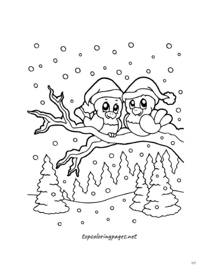 Winter Birds on a Branch Coloring Pages