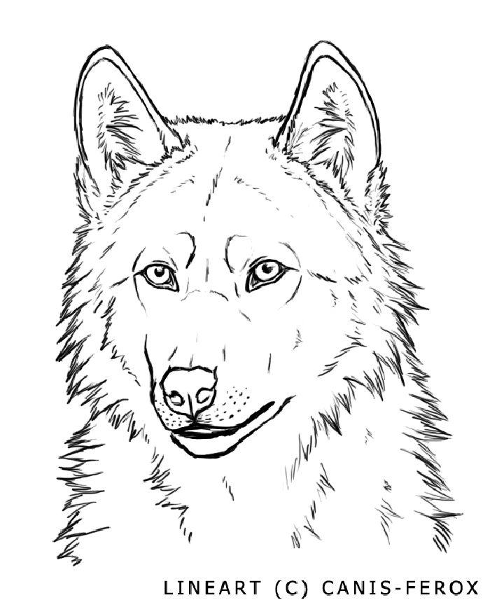 Wolf Face Coloring Book Pages