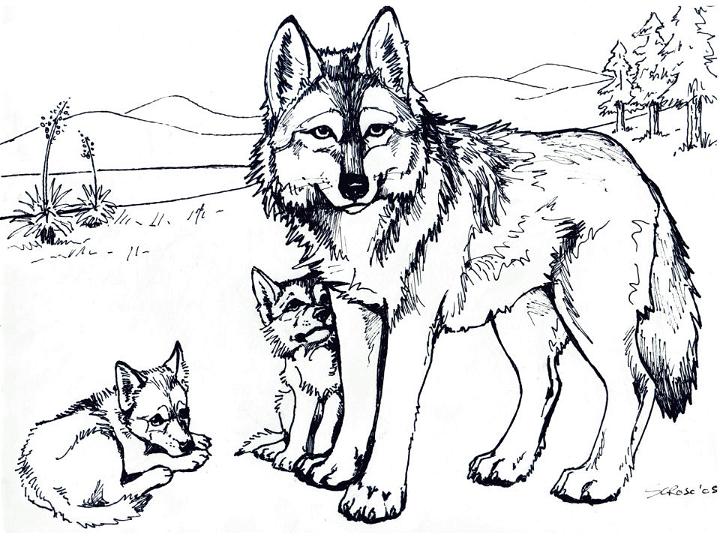Wolf with Pup Coloring Pages to Print