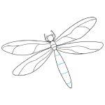 25 Easy Dragonfly Drawing Ideas - How to Draw