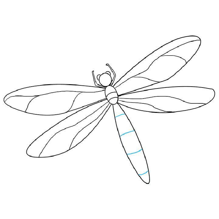 Wonderful Dragonfly Drawing for Beginner