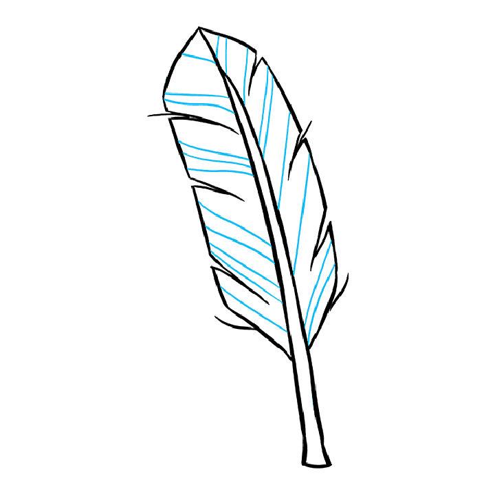 Wonderful Feather Drawing