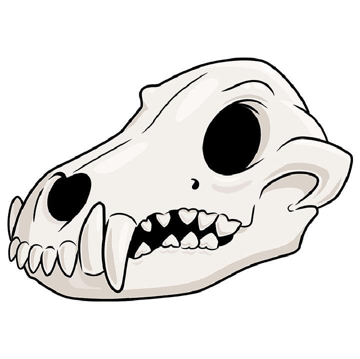 Wonderful Wolf Skull Drawing