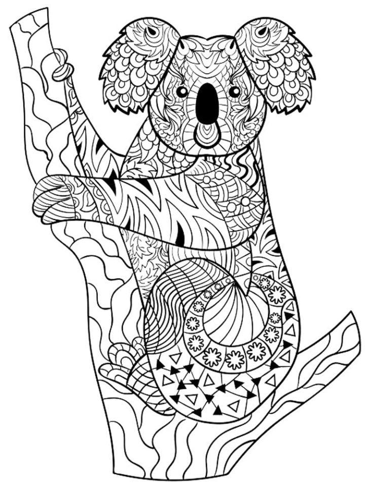 Zentangle Koala Coloring Pages for Adults
