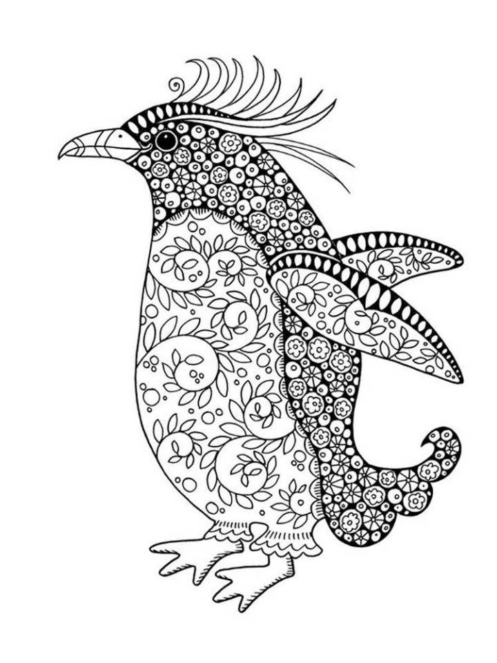 Zentangle Penguin Coloring Pages for Adults