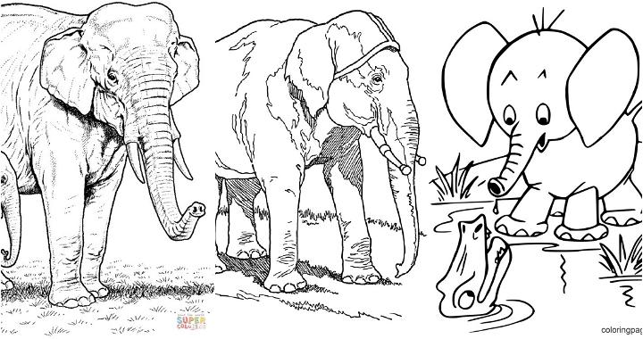 easy and free elephant coloring pages for kids and adults