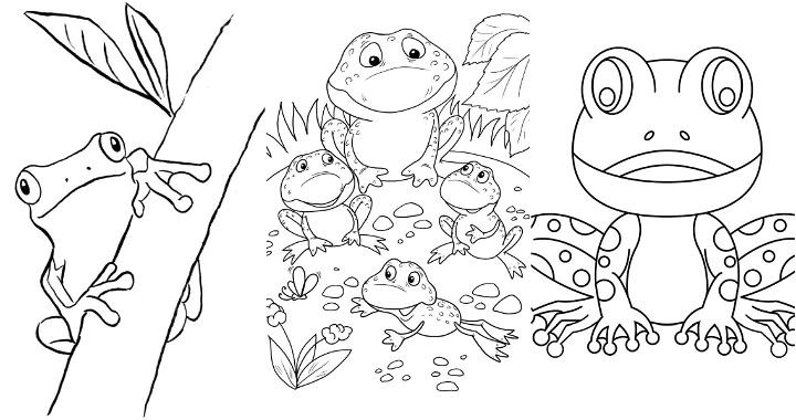 easy and free frog coloring pages for kids and adults