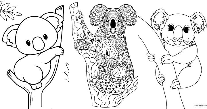 easy and free koala coloring pages for kids and adults