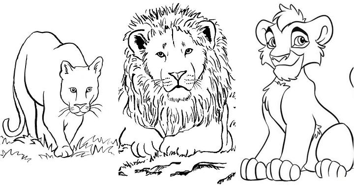 easy and free lion coloring pages for kids and adults
