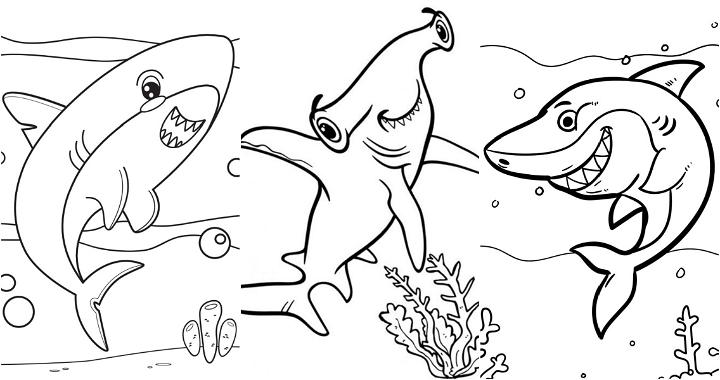 25 Easy and Free Shark Coloring Pages for Kids and Adults - Printable Shark Pictures to Color