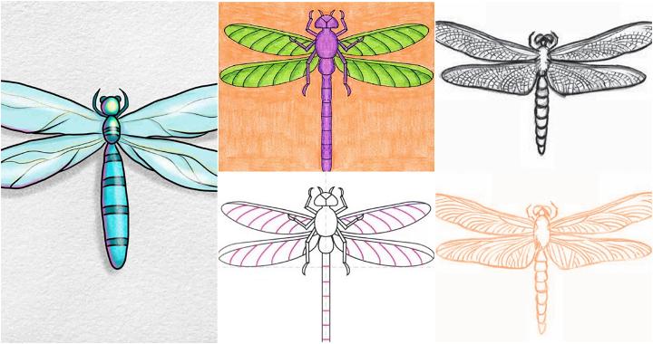 25 Easy Dragonfly Drawing Ideas - How to Draw a Dragonfly