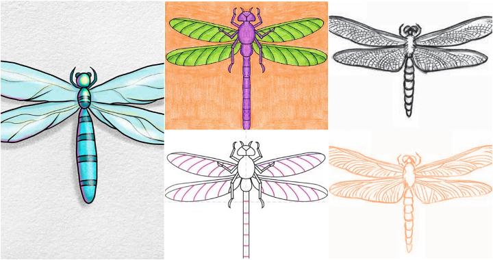 flying dragonfly drawing