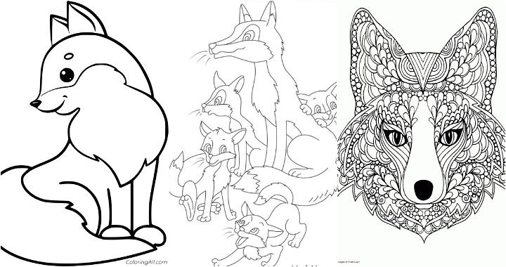 easy free fox coloring pages for kids adults