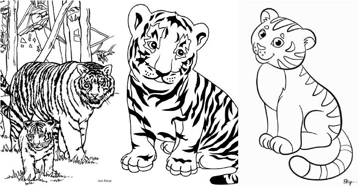 easy free tiger coloring pages for all
