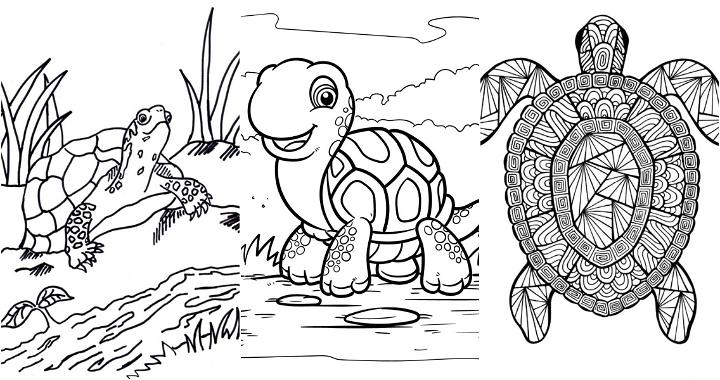 easy free turtle coloring pages for kids and adults