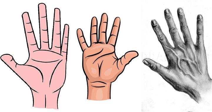 palm hand drawing