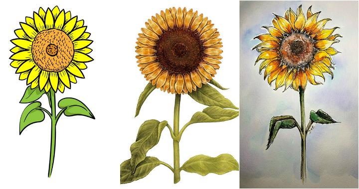 easy sunflower drawing ideas tutorials