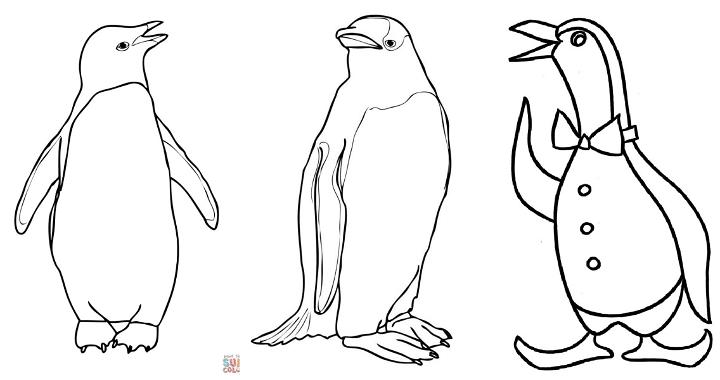 free penguin coloring pages for kids adults