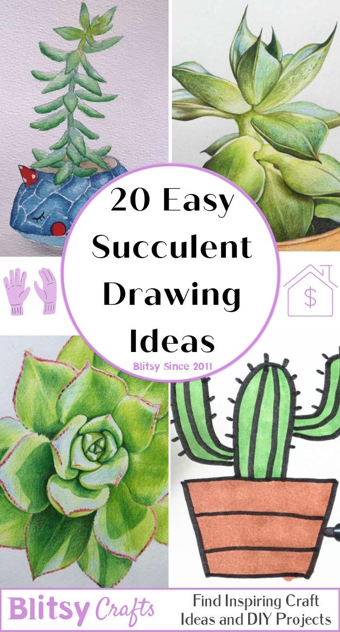20 Easy Succulent Drawing Ideas - How to Draw a Succulent