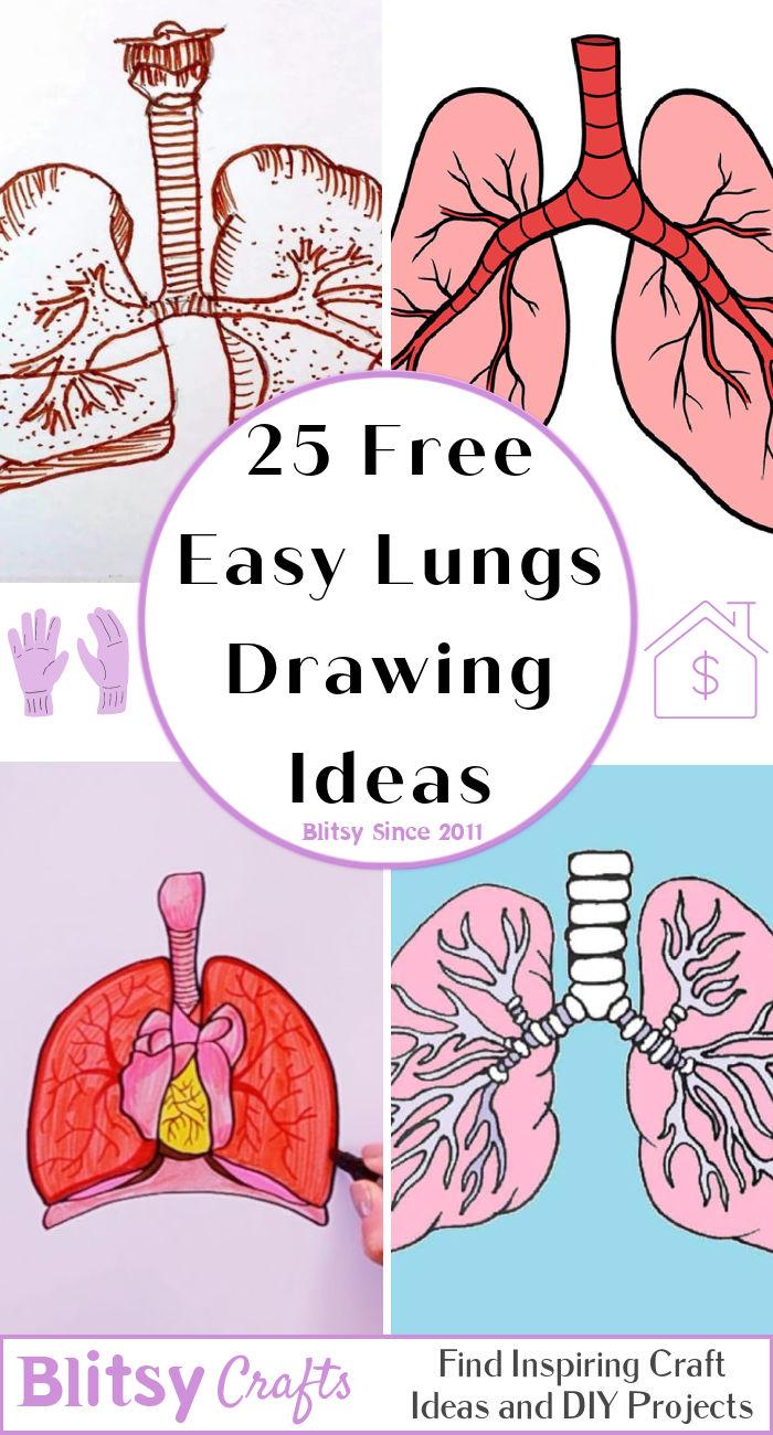 how to draw a real lungs