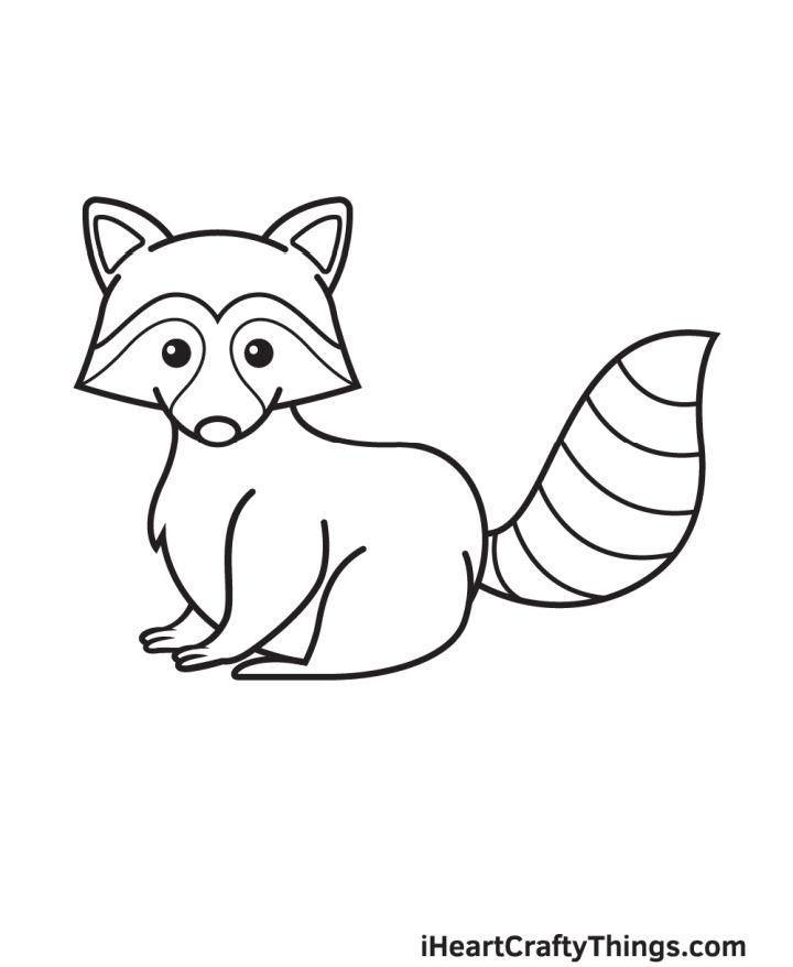 Adorable Raccoon Drawing Step by Step