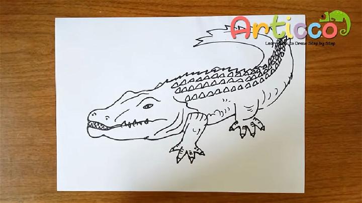 Alligator Drawing Step by Step for Kids