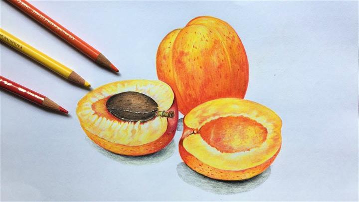 Apricot Drawing In Color Pencil