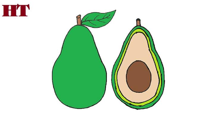 Avocado Drawing Step by Step