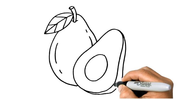 Avocado Outline Drawing