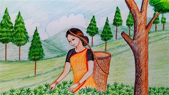 Beautiful Tea Garden Drawing