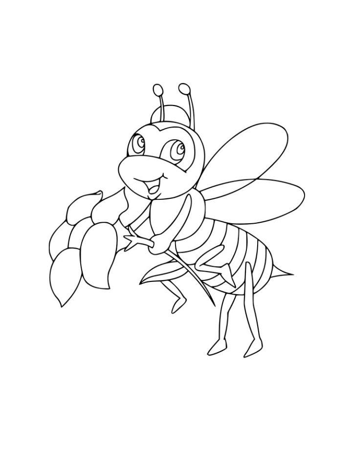 Bee Pictures to Color