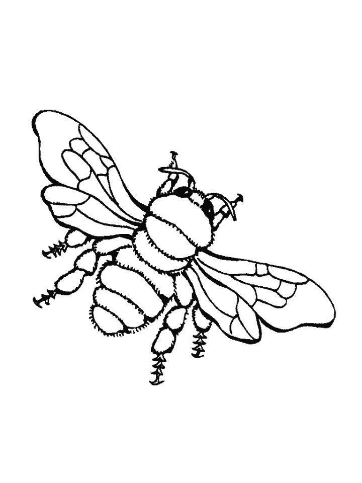 Bees Coloring Pages and Printables