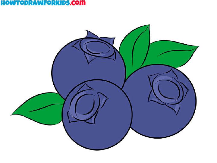 Blueberry Drawing Step By Step