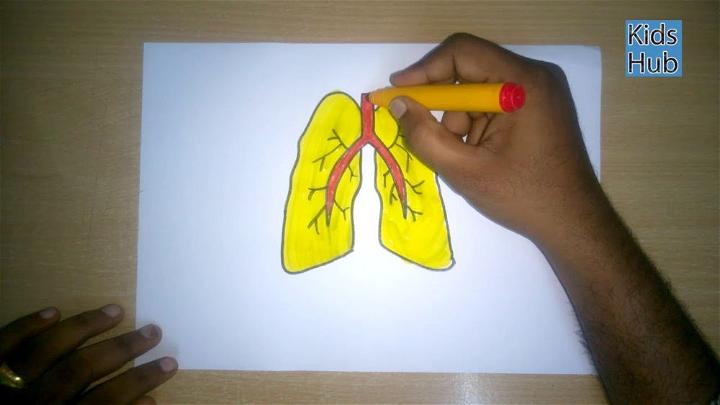 Cartoon Lungs Drawing