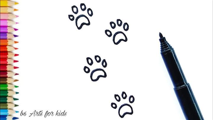 Cat Paw Print Drawing