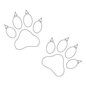 25 Easy Paw Print Drawing Ideas - How to Draw