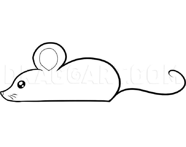 Mouse Drawing Tutorial  How to draw Mouse step by step