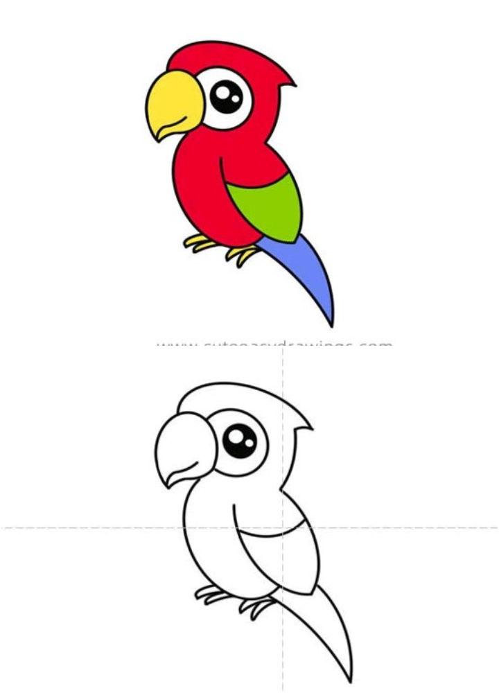 Cute Parrot Drawing for Kids