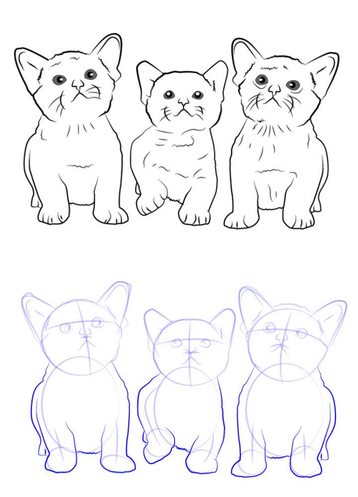 Cute Three Kittens Drawing