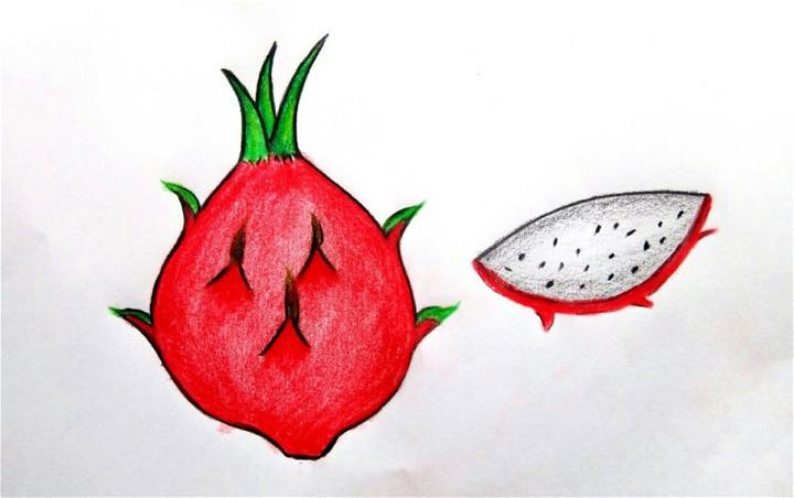 simple fruit drawing