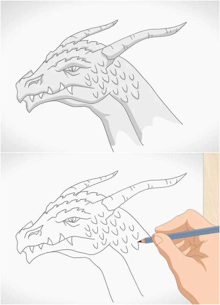 Dragon Head Drawing Reference