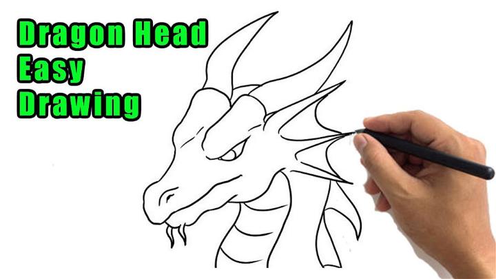 Dragon Head Drawing Side View Sketch