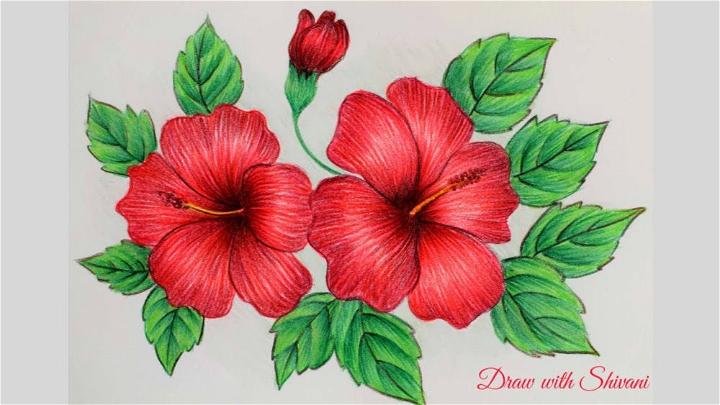 Draw Hibiscus Sketching Using Pencil Colors