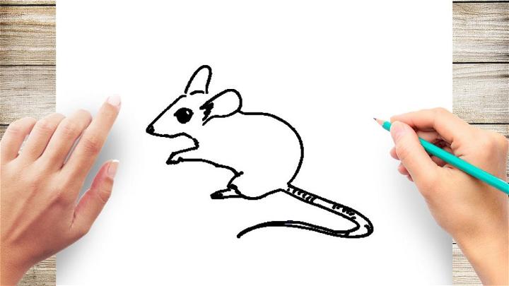 Draw Your Own Mouse