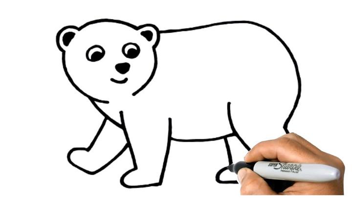 Draw Your Own Polar Bear