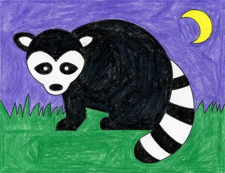 Draw Your Own Raccoon